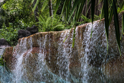 Close-up of water flowing through rocks