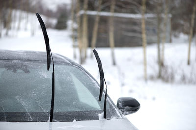 Close-up of car