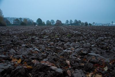 Scenic view of pebbles against sky