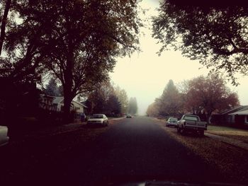 Road passing through trees