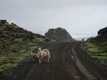 View of road along landscape