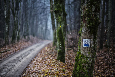 Information sign on road amidst trees in forest