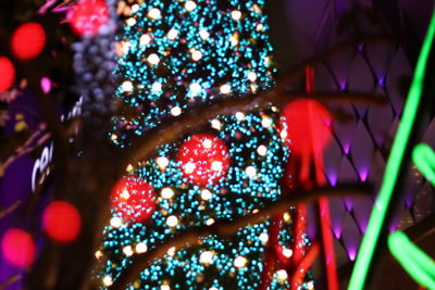 Close-up of illuminated christmas lights