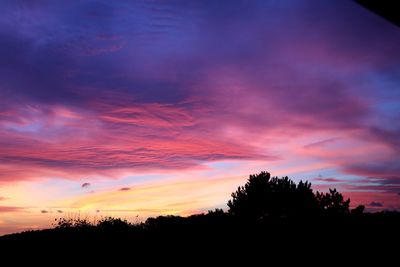 Silhouette trees against sky at sunset