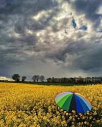 Scenic view of yellow flowers on field against cloudy sky