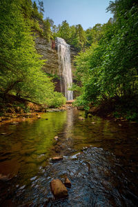 View of falls creek falls from falls creek.