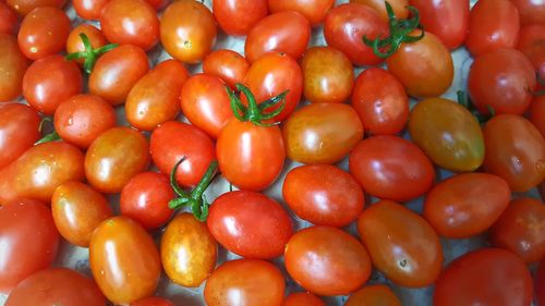 Full frame shot of tomatoes