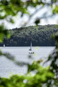 Sailboat sailing on sea against sky