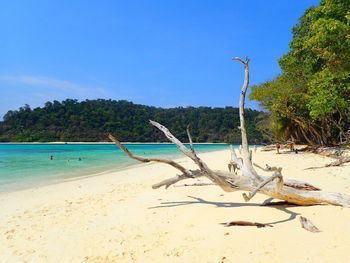 Scenic view of beach against blue sky
