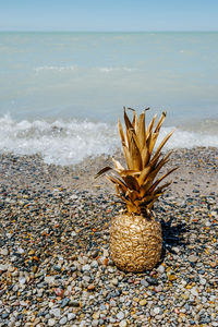 View of pebble on beach against sky