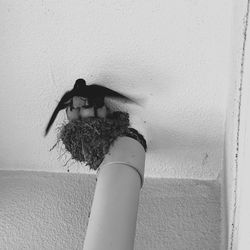 Close-up of woman hand on wall