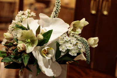 Close-up of white flowers