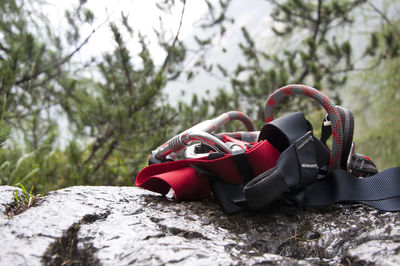 Close-up of red toy on rock