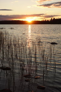 Scenic view of lake against sky during sunset