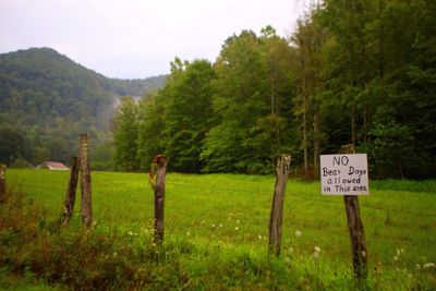 Information sign on grassy field