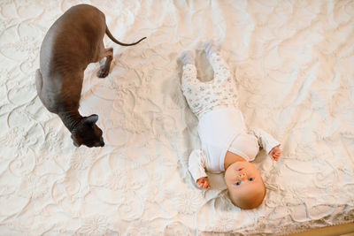 High angle view of cat by baby on bed