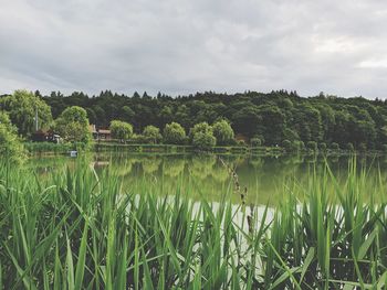 Scenic view of lake against sky