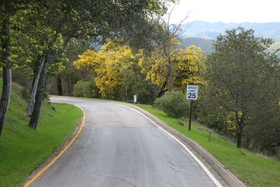 Road amidst trees