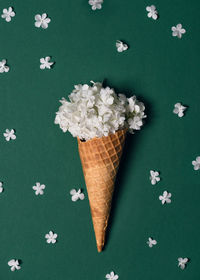 Creative still life of an ice cream waffle cone with white blossom of snowball on green background. 