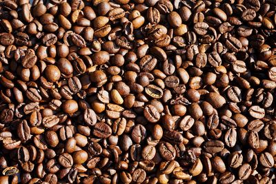 Full frame shot of coffee beans