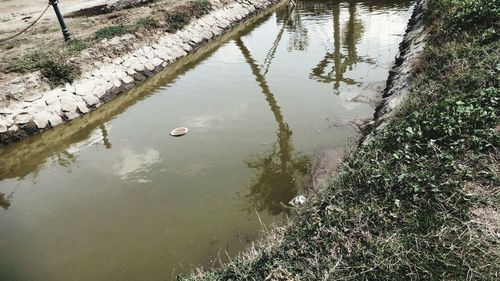 High angle view of plants floating on lake