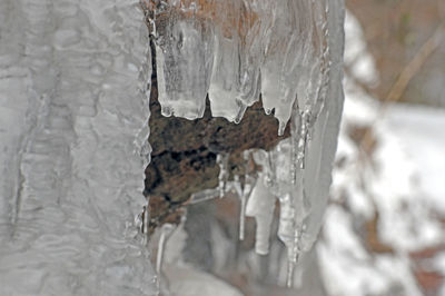 Close-up of icicles