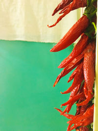 Close-up of red chili peppers in vintage style