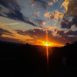 Silhouette of trees at sunset