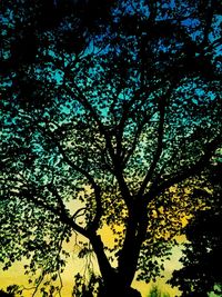 Low angle view of silhouette tree against sky