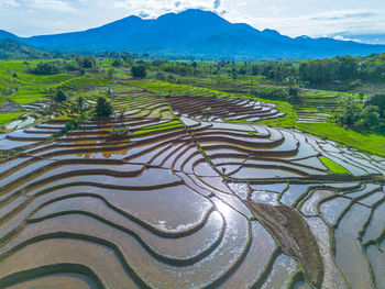 Scenic view of agricultural field against mountain