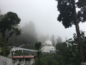 Trees and buildings against sky