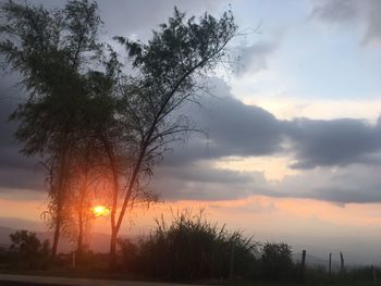 Silhouette trees against sky during sunset