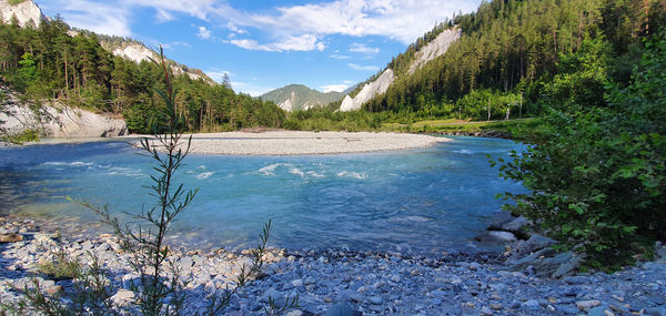 Scenic view of river amidst trees against sky