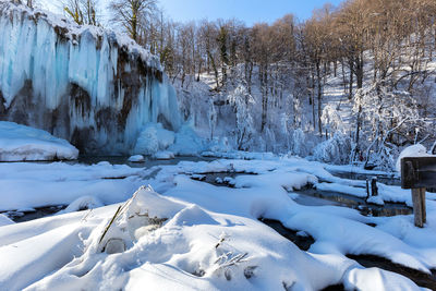 Scenic view of snow covered land and trees