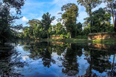 Scenic view of lake in forest against sky