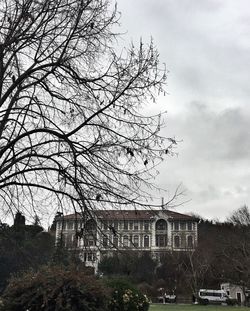 Bare tree and buildings against sky