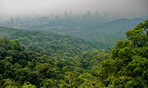 High angle view of forest against sky