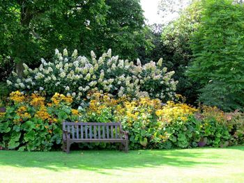 Park bench in garden