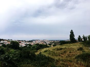 Trees and townscape against sky