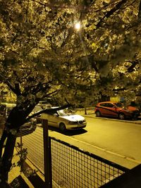 Cars on illuminated street at night