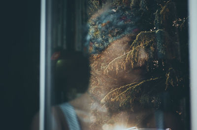 Close-up of woman looking through window