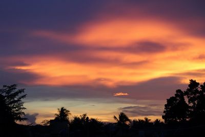 Silhouette trees against dramatic sky during sunset