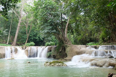 Scenic view of waterfall in forest