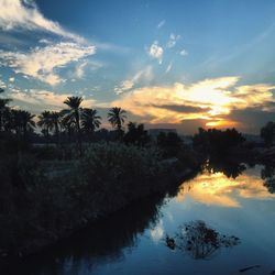 Reflection of trees in water at sunset