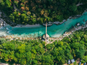 High angle view of river amidst trees
