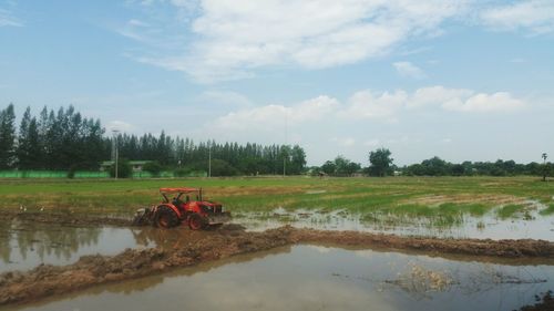 Scenic view of agricultural field against sky