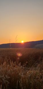 Scenic view of field against clear sky during sunset