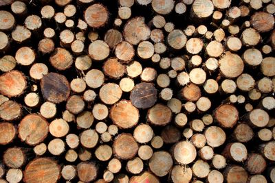 Full frame shot of logs