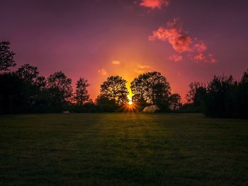 Trees on field against sky at sunset