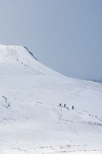 Flock of birds on snow covered mountain against sky